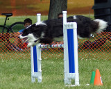 The Agility Connection 05229 copy.jpg