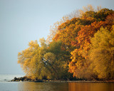 Leaf Peeping 01849 copy.jpg