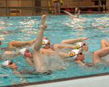 Queens Synchronized Swimming 02140 copy.jpg