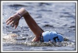 _MG_4121 a 