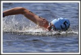 _MG_4141 a 
