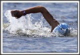_MG_4175 a 