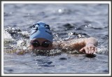 _MG_4303a 