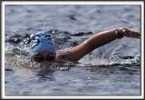 _MG_4302 a 