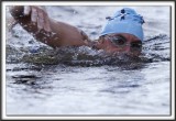 _MG_4292 a 