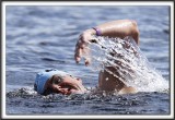 _MG_3962 a 