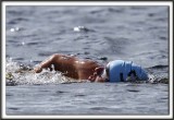 _MG_4415a 