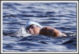 _MG_4338 a