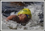 PHOTOS DES NAGEURS DU 10km DE LA COUPE DU MONDE FINA 2015, Lac Mégantic, Canada / SWIMMERS OF FINA 10km WORLD CUP 2015
