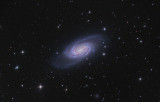 NGC 2903