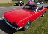 Mustang 2.jpg