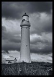 The Lighthouse.jpg