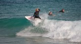 Surfing at Phillip island Woolamai, Flynns and Forest cave beaches
