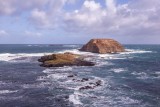 Seal rock at Phillip Island 2.jpg