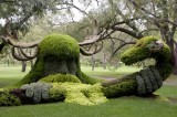 18 – Canada – Montréal – Les esprits de la forêt – Cernunnos - 2