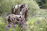 19  Angleterre  (Heather Jansch)  Espoir et Oddysse