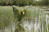 33 – Canada – Saint Léonard – Les Ambassadeurs des Mosaïcultures Internationales - 2