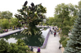 37 - Canada – Montréal – L’arbre aux oiseaux