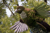 37 - Canada – Montréal – L’arbre aux oiseaux -6