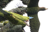 37 - Canada – Montréal – L’arbre aux oiseaux - 18