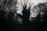 pelgrim hit the road before sunset