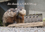 ebook gratis 20-21 mei.png