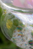 Soap Bubble Reflection