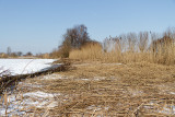 IMG_4765.jpg