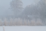 IMG_4660.jpg