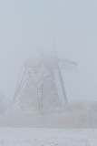 IMG_4667.jpg