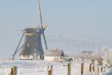 IMG_4720.jpg