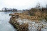 IMG_0478.jpg