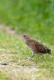 IMG_6824.jpg
