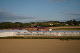 70-300G_70mm_F5.6.jpg
