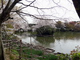 DSC05526.jpg