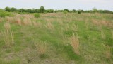 IMG_9170.JPG