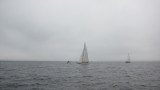 IMG_3329.jpg