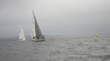 IMG_3371.jpg