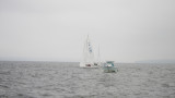 IMG_3373.jpg