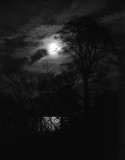 Full Moon over Swamp