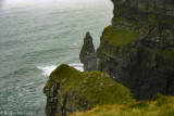 Cliffs of Moher