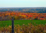 Creemore Fall Colors