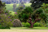 Garden at Kiambethu Farm