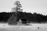 Island Shell bw 1200.jpg