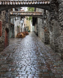 Wet cobblestones