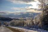 Dec. 27-8.jpg