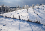 Dec. 27-9.jpg