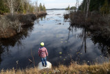 Felix on Chandos.jpg