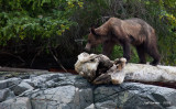 IMG_2126_edited-1.jpg