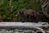 IMG_2272_edited-1.jpg